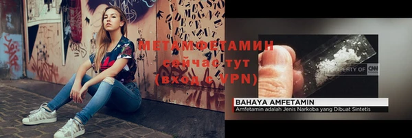 шишки Гатчина